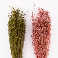 Clayre & Eef Getrockneter Flachs Bündel Trockenblumen grün 50-60cm
