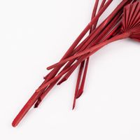 Clayre & Eef Getrocknete Palmenblätter Bund Trockenblumen rot 40-60cm