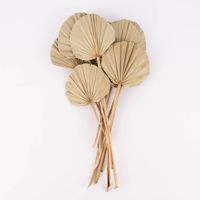 Clayre & Eef Getrocknete Palmenblätter rund Bund Trockenblumen natur 40-55cm