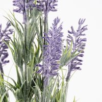 83405-Clayre-und-Eef-Dekozweig-Lavendel-Kunststoff-gruen-lila-46cm-KW8-2023-211682Capture0019.jpg Clayre & Eef Dekozweig Lavendel Kunststoff grün lila 46cm