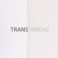 Leinen Gardinenstoff Meterware halbtransparente Leinengardine EASY LINEN uni natur 2.90m Höhe