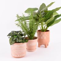 Sass & Belle Übertopf auf Füßen Prägemotiv Terracotta weiß 12.5x16cm