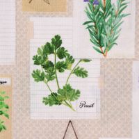 LeQuilt Patchworkstoff Baumwollstoff Popeline Kräuter Pflanzen Bilderwand beige grün lila 115cm Breite