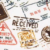 Baumwolljerseystoff Stamps Stempel Reisepass wollweiß braun orange gr