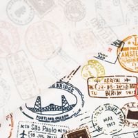 Baumwolljerseystoff Stamps Stempel Reisepass wollweiß braun orange gr