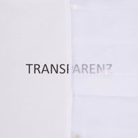 84157-Gardinenstoff-Gardinenstores-transparent-Scherli-Kaestchen-mit-Bleiband-weiss-beige-280cm-Hoehe-KW17-2023-218400Capture0041.jpg Gardinenstoff Gardinenstores transparent Scherli Kästchen mit Bleiband weiß beige 280cm Höhe