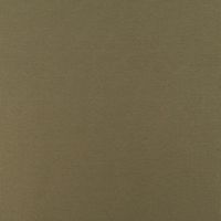 Baumwolljersey Jerseystoff Rib Jersey Rippenstruktur uni 1.45m Breite grün