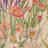 84976-Dekostoff-Baumwollstoff-Halbpanama-Leinenlook-Wildflower-Sunny-Field-Wiesenblumen-natur-bunt-1-40m-Breite-KW26-2023-225065Capture0011.jpg Dekostoff BW Halbpanama Leinenlook Wiesenblumen natur bunt 1.40m Br