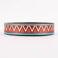 85055-Gurtband-Chevron-Zick-Zack-Luca-bunt-Breite--4cm-KW25-2023-223855Capture0005.jpg