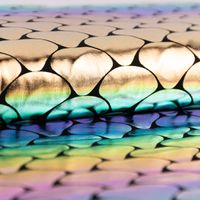 Folienjersey Schuppen Rainbow Shimmer bunt