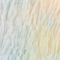 85847-Fellimitat-Langhaar-Kunstfell-Regenbogenfarben-pastell-1-65m-Breite-KW37-2023-229879Capture0015.jpg Fellimitat Langhaar Kunstfell Regenbogenfarben pastell 1,65m Breite