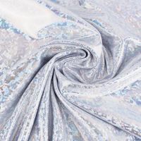 Jerseystoff Stretch Jersey Glitzer holografisch einfarbig silber 1,5m Breite
