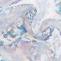 86089-Jerseystoff-Stretch-Jersey-Glitzer-holografisch-einfarbig-silber-1-5m-Breite-DSC-7117.jpg Jerseystoff Stretch Jersey Glitzer holografisch einfarbig silber 1,5m Breite