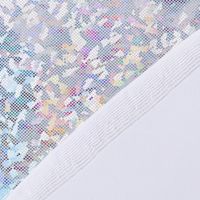 86089-Jerseystoff-Stretch-Jersey-Glitzer-holografisch-einfarbig-silber-1-5m-Breite-DSC-7122.jpg Jerseystoff Stretch Jersey Glitzer holografisch einfarbig silber 1,5m Breite