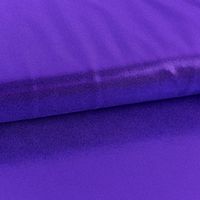 86090-Jerseystoff-Stretch-Jersey-Glitzer-schimmernd-einfarbig-violett-1-5m-Breite-DSC-7101.jpg 86090-Jerseystoff-Stretch-Jersey-Glitzer-schimmernd-einfarbig-violett-1-5m-Breite-DSC-7101.jpg