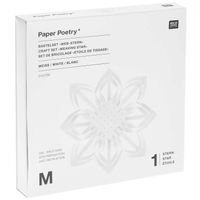 86214-Rico-Design-Papierstreifen-Bastelset-Webstern-mit-20-Streifen-weiss-300723-2.jpg Papierstreifen Bastelset Webstern mit 20 Streifen in Verpackung