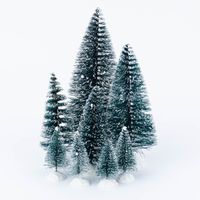 86315-8er-Set-kleine-Deko-Tannen-mit-Schnee-verschiedene-Groessen-6-19cm-hoch-DSC-0029.jpg 86315-8er-Set-kleine-Deko-Tannen-mit-Schnee-verschiedene-Groessen-6-19cm-hoch-DSC-0029.jpg