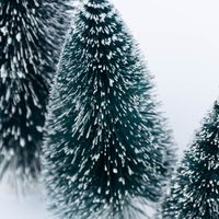86315-8er-Set-kleine-Deko-Tannen-mit-Schnee-verschiedene-Groessen-6-19cm-hoch-DSC-0031.jpg 86315-8er-Set-kleine-Deko-Tannen-mit-Schnee-verschiedene-Groessen-6-19cm-hoch-DSC-0031.jpg