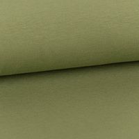 Baumwolljersey Organic Bio Jersey einfarbig farn grün 1,5m Breite