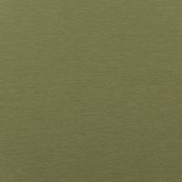 Baumwolljersey Organic Bio Jersey einfarbig farn grün 1,5m Breite