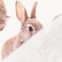 86724-Baumwollstoff-Dekostoff-Halbpanama-Digitaldruck-Rabbit-Family-Together-Hasen-weiss-braun-1-40m-Breite-86724-07.jpg