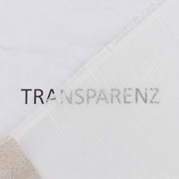 86817-Gardinenstoff-Voile-transparent-Tivoli-Streifen-weiss-beige-152cm-Breite-DSC-5086.jpg Transparenter Voile Gardinenstoff Tivoli mit modernem Streifen-Dessin in Weiß und Beige mit 152cm Stoffbreite