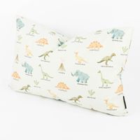 Kissenhülle Dinosaurier mintgrün bunt von SCHÖNER LEBEN. 30x50