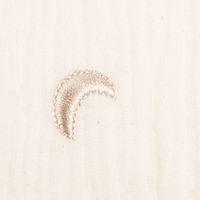 87796-Musselin-Stoff-Double-Gauze-STARS-Stickerei-Sterne-Mond-beige-1-35m-Breite-IMG-KW18-206.jpg Musselin Stoff Double Gauze STARS Stickerei Sterne Mond beige 1,35m Breite