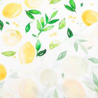 88587-Baumwollstoff-Popeline-Fine-Poplin-Digitaldruck-LEMON-Zitronen-weiss-gelb-1-45m-Breite-IMG-KW28-062.jpg Baumwollstoff Popeline Fine Poplin Digitaldruck LEMON Zitronen weiß gelb 1,45m Breite mit Rückseite
