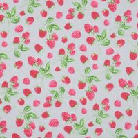 88857-Baumwollstoff-Himbeeren-hellgrau-rosa-1-40m-Breite-BW-Stoff-Himbeere.jpg Baumwollstoff Himbeeren hellgrau rosa 1,40m Breite