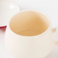 Suppentasse mit Fliegenpilz Deckel Mushroom Soup Bowl von Sass & Belle Innen