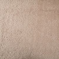 88924-Teddy-Fleece-Baumwoll-Krimmer-Plueschstoff-einfarbig-taupe-1-6m-Breite-IMG-KW35-154.jpg Teddy Fleece Baumwoll Krimmer Plüschstoff einfarbig taupe 1,6m Breite Nahaufnahme