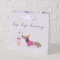 Geschenktüte Hip Hip Hooray mit Dackel und Torte 20x10x25cm vor Wand fotografiert