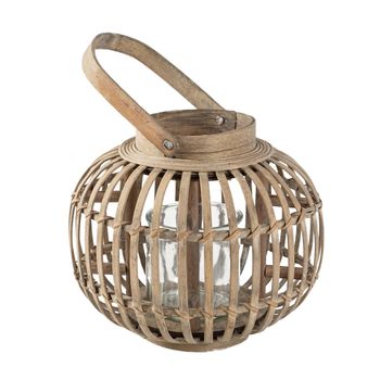bananenpflanzen teilen Green Home Bananen Erde