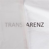 Gardinenstoff Voile transparent uni hellgrau mit Bleiband 320cm Breite Transparenz
