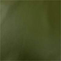 89543-Polsterkunstleder-Polsterstoff-Kunstleder-Kaiman-Meterware-gruen-145cm-89543-003.jpg Polsterkunstleder Polsterstoff Kunstleder Kaiman Meterware grün 145cm