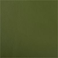 89543-Polsterkunstleder-Polsterstoff-Kunstleder-Kaiman-Meterware-gruen-145cm-89543-004.jpg Polsterkunstleder Polsterstoff Kunstleder Kaiman Meterware grün 145cm