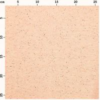 Jersey Stoff Flocken apricot neon Stoffabschnitt von Rico Design 80x100cm mit Maßband