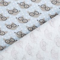 Jersey Stoff Baumwolljersey Fauzy Füchse mit Brille hellblau 1,50m Breite, mit Rückseite