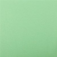 Sweatstoff Meterware Bio Soft Sweat dünn uni lime grün 1,5m Breite