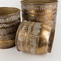 Wunderschönes Übertopf-Set Tripoli für deine liebsten Pflanzen in Gold-Antik in Szene gesetzt Nahaufnahme