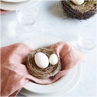 Naturnest mit Gras 10cm von Rico Design