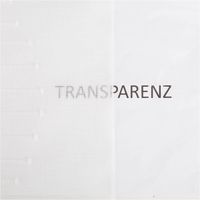 90243-Schiebegardinen-Meterware-Senso-Scherli-weiss-60cm-Breite--MG-2711.jpg Schiebegardinen Meterware Senso mit Scherli-Effekten in Weiß mit 60cm Breite mit erkennbarer Transparenz