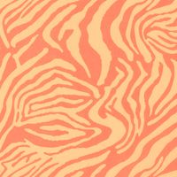 90452-Baumwollsatin-Stretchstoff-Zebra-orange-150cm-Breite-23160-037-1.jpg Baumwollsatin Stretchstoff Zebra Orange – Leichtigkeit & Stil für deine Modeprojekte
