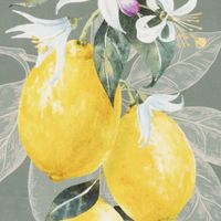 90741-Geschirrtuch-Lemon-aus-Baumwolle-50x70cm-im-3er-Set--MG-3727.jpg Geschirrtuch-Set „Lemon“ – 3er Set mit Zitronen-Motiv (50x70 cm, 100 % Baumwolle) Nahaufnahmen