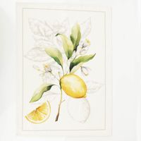 90741-Geschirrtuch-Lemon-aus-Baumwolle-50x70cm-im-3er-Set--MG-3738.jpg Geschirrtuch-Set „Lemon“ – 3er Set mit Zitronen-Motiv (50x70 cm, 100 % Baumwolle) Vollbild Muster 3