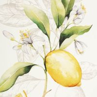 90741-Geschirrtuch-Lemon-aus-Baumwolle-50x70cm-im-3er-Set--MG-3739.jpg Geschirrtuch-Set „Lemon“ – 3er Set mit Zitronen-Motiv (50x70 cm, 100 % Baumwolle) Nahaufnahme