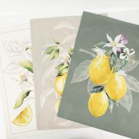 90741-Geschirrtuch-Lemon-aus-Baumwolle-50x70cm-im-3er-Set--MG-3746.jpg Geschirrtuch-Set „Lemon“ – 3er Set mit Zitronen-Motiv (50x70 cm, 100 % Baumwolle) als Set praesentiert