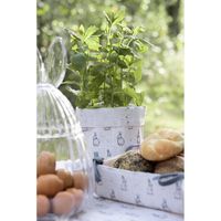 Brotkörbchen mit Kaninchenmotiv – zauberhaft, praktisch und ideal als Geschenk - dekoriert als Blumenübertopf für eine Grünpflanze auf einem Ostertisch