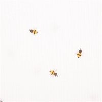 Musselin Stoff mit kleinen Bienen – Weicher & hautfreundlicher Baumwollstoff für Babys & Kinder Nahaufnahme des Stoffes